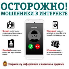 Осторожно! Мошенники в интернете!