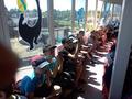 Учащиеся нашей гимназии посетили дельфинарий «Немо» и минский зоопарк