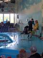 Учащиеся нашей гимназии посетили дельфинарий «Немо» и минский зоопарк