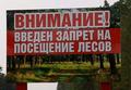 В Хойникском районе введен запрет на посещение лесов. 