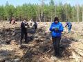 Педагоги гимназии приняли участие в акции «Неделя леса»