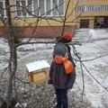 Операция 'Кормушка" 06.02.2021