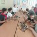 Лето в объективе