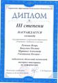 Команда гимназии победила в областной интернет-викторине по информатике . 