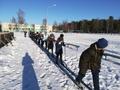 Что может быть лучше, чем катание на лыжах или коньках  в морозный солнечный день!