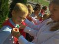 День рождения Белорусской республиканской пионерской организации