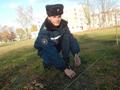 Хойники.  Деревья, посаженные нами. 
