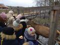 В гости к главному волшебнику