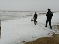 24 февраля учащиеся гимназии  поприсутствовали на  практических занятиях ОСВОД по спасению утопающих.