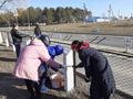 Областной субботник 