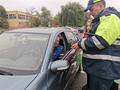 Всемирный день без автомобиля