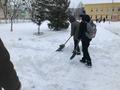 Молодёжь спешит на помощь. Акция 