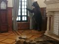 Познавательно и увлекательно