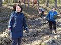 Педагоги гимназии приняли участие в акции «Неделя леса»