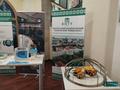 Организация работы инженерных классов