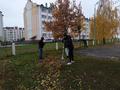 Областной субботник