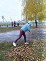 Областной субботник