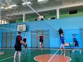Турнир по волейболу 