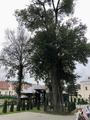 Путешествие к Святыням Беларуси 