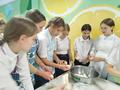 Мастер-класс 