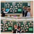 Единый урок 
