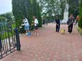 #ЛТО_КРУТО  #ДЕНЬ_БЕЛАРУСЬ_ПОМНИТ Акция 