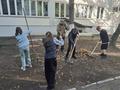 #Шестой_День Сегодня в гимназии прошли трудовые акции 