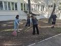 #Шестой_День Сегодня в гимназии прошли трудовые акции 