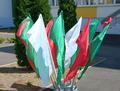 Готовимся праздновать День Независимости Готовимся праздновать День Независимости