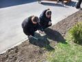 Прополка клумб и их очистка от мусора