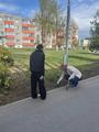 Прополка клумб и их очистка от мусора